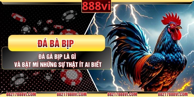 Đá Gà Bịp Là Gì Và Bật Mí Những Sự Thật Ít Ai Biết