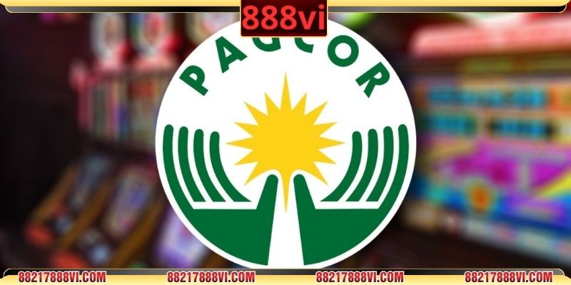 Giấy tờ hoạt động của nền tảng được cấp bởi tổ chức quốc tế uy tín