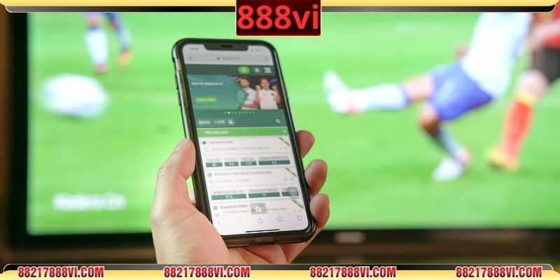 Hiểu quy tắc cơ bản để cược thuận lợi