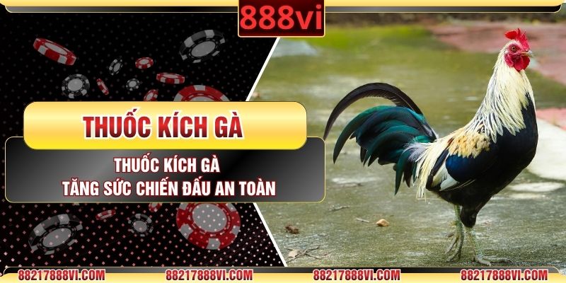 Thuốc Kích Gà – Tăng Sức Chiến Đấu An Toàn Cho Chiến Kê